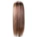 KAGAYD Long Straight Brown Mixed Blonde Synthetic Wigs for Women Middle Part Highlights