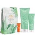 Charlotte Meentzen - Aloe Vera Sensitiv Sunshine Set Bodylotion