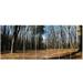 Design Art Fall Forest in Sunlight and Shadows 7 Piece Photographic Print on Wrapped Canvas Set