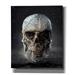 Epic Graffiti Cosmo Skull by Ben Heine Canvas Wall Art 20 x24