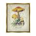 Stupell Industries German Scientific Mushroom Study Botanical & Floral Painting Gold Floater Framed Art Print Wall Art