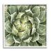 Stupell Industries Green Botanical Plant Leaves Botanical & Floral Painting White Framed Art Print Wall Art