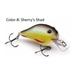 Vexan 4 in PHAT BOYs and Vern s Stoneroller Crankbait Lures Sherrys Shad 1/2 o