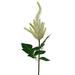 MDR Trading AI-FL4034CRN-Q04 Cream Astilbe Garden Stem Artificial Flower - Set of 4