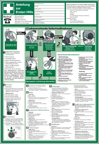 Aushang, Anleitung zur Ersten Hilfe - praxisbewährt - 410x595x1.5 mm Kunststoff Image