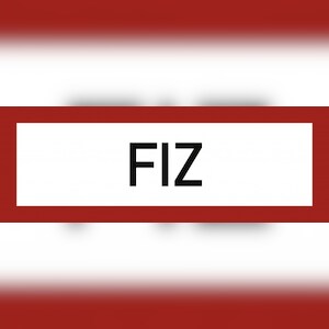 FIZ, Alu, 297x105 mm Image