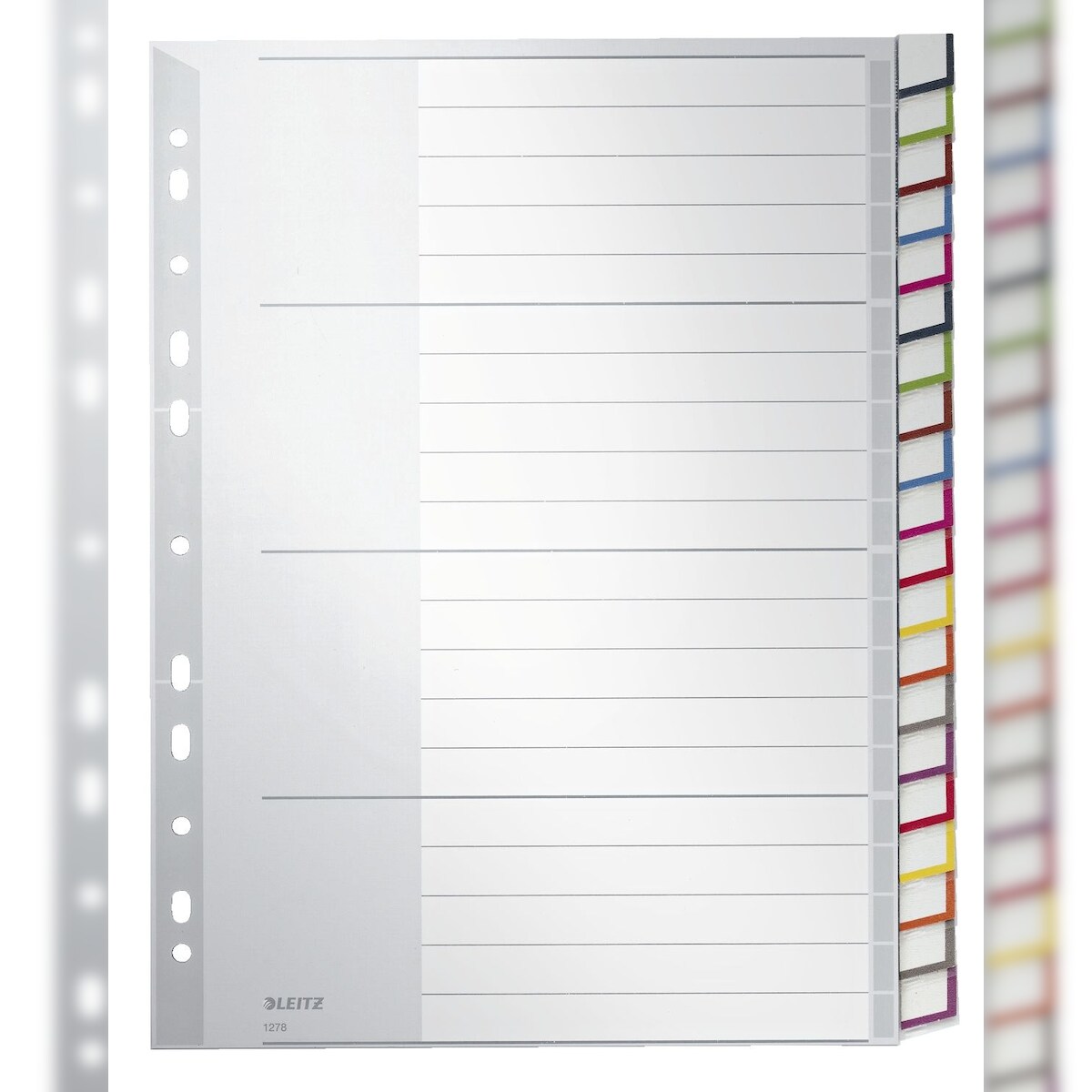 Leitz 1278-00-00 1278 Register - PP, blanko, A4, 20 Blatt, grau Image