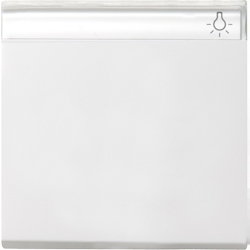 Gira Wippe Wechselsch. rws 029927 Image