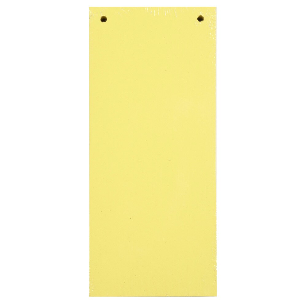 Exacompta Packung mit 100 Trennstreifen, 2-fach gelocht, 180g, 105x240mm Image