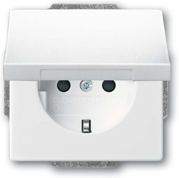 Busch-Jaeger SCHUKO Steckdosen-Einsatz 20 EUKB-84 2CKA002018A1520 Image