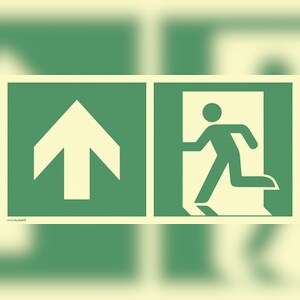 Notausgang links Pfeil oben, Kombi, ISO 7010,Kunststoff,nachl.,160-mcd,400x200mm Image