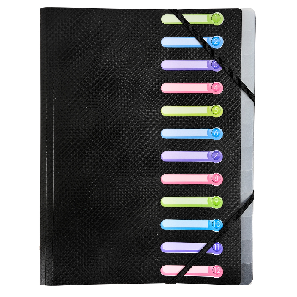 Exacompta Ordnungsmappe OPAK aus PP mit 3 Klappen und 12 Fächern Image