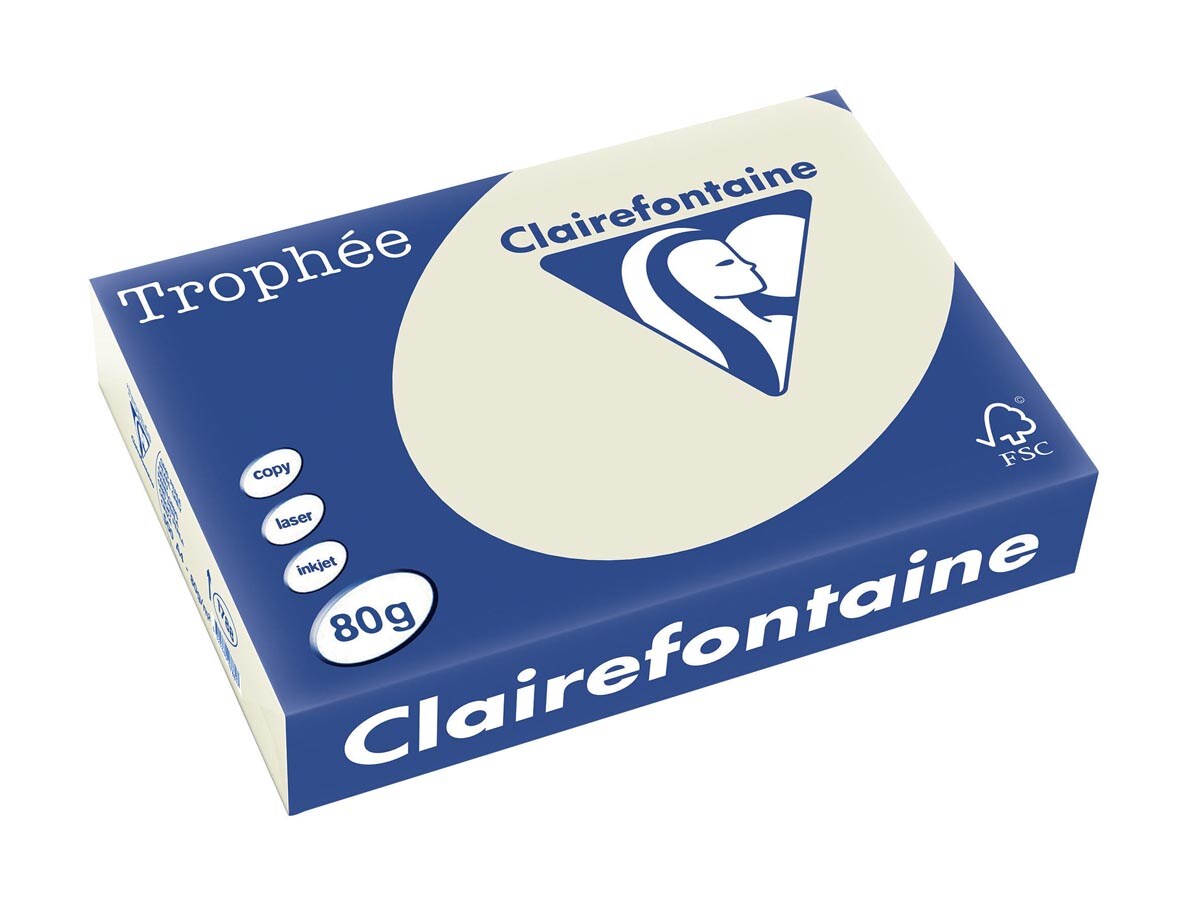 Clairefontaine Kopierpapier 1788C A4 80g grau 500Bl. Image
