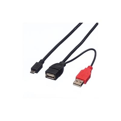 ROLINE USB 2.0 Y-Kabel, 2x Typ A (ST / BU) - Micro B ST, 1m Image