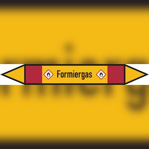Rohrleitungskennzeichen Formiergas - 100x15 mm Folie selbstklebend Image