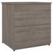 Pemberly Row 2-Drawer Engineered Wood Lateral File Cabinet in Silver Maple