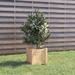 Latitude Run® Wood Outdoor Planter Box Wood in Brown | 12.2 H x 12.2 W x 12.2 D in | Wayfair 140CA5A0659E44DF8F9C8BF9D8534C66
