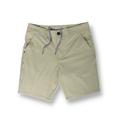 Men's Sunday Sports 19" Hybrid Sport Shorts - Gold 34" Baja Llama