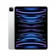 Apple iPad Pro 256 Go 32.8 cm (12.9") M 8 Wi-Fi 6E (802.11ax) iPadOS 16 Argent