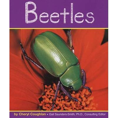 Beetles