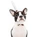 Pet Halloween headdress funny hat dog cat headdress trick props m