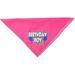 Mirage Pet Products Birthday Boy Screen Print Bandana for Pets Large Bright Pink