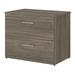Pemberly Row 2 Drawer Lateral File Cabinet in Modern Hickory - Engineered Wood