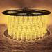 The Holiday Aisle® LED Christmas Rope Lights in White | 100 Ft | Wayfair E6BCA4F1CEE84460A8490A27CEE57A88