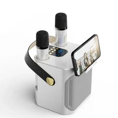 Machine de karaoké portable haute puissance sans fil Bluetooth 5.0 système de haut-parleurs avec