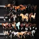 Realistic Plastic Horse Figurines Wild Horse Arabian Hanoverian Pinto Mare and Stallion Detailed