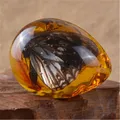 Natural Rough Butterfly Amber Stone Insect Spcimen Pendant Necklace Gemstone Table Decoration DIY