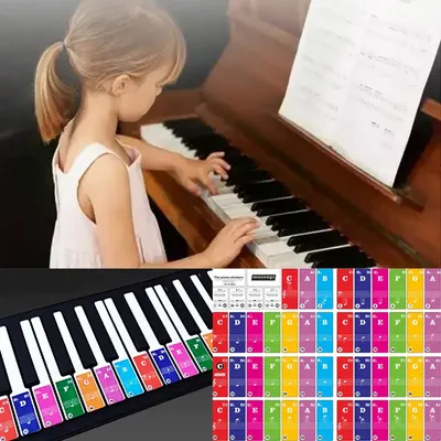 37/49/61/88 Keys New Colorful Transparent Piano Keyboard Stickers Electronic Keyboard Sound Name Key