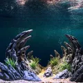 Canyon Scenery Fish Tank Simulation Seiryu Stone Landcape Rockery Decoration Claw Small Ornaments