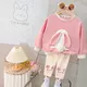 Herbst Kinder Kleidung Sets für Baby Mädchen T-Shirt Hosen Kleinkind Kinder Trainings anzug