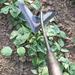 PATLOLAV Garden Tools Hoe All-Steel Hardened Hoe Sharp Garden Edger Weeder Durable Gardening Hoe Hand Tool Weed Puller Accessories for Backyard Weeding Soil Loosening Farm Planting