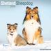 2024 Shetland Sheepdog Calendar - Monthly Wall Calendar - 12 x 24 Open - Premium Thick No-Bleed Paper - Giftable - Teacher s Planner Calendar Organizing & Planning