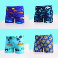 Kids Cartoon Print Swimwear New Swimsuit Baby Boy Pool Shorts Swim Trunk Beach Short for Toddler