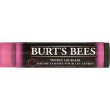 Burt s Bees Tinted Lip Balm Sweet Violet 1 Count (Pack of 16)