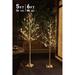 Pack of 2, 5FT 6FT White Birch Tree Set Christmas Tree Combo Kit Perfect for Home Holiday Party Wedding Decor