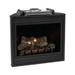 32 in. Deluxe Direct-Vent Fireplace IP Electronic Ignition Natural Gas