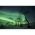 Northern Lights in The Arctic Wilderness Nordland Norway Poster Print - 17 x 11