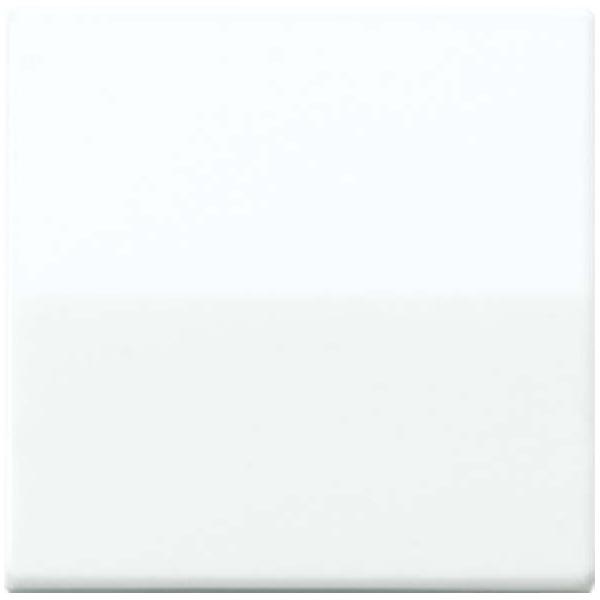 Jung Wippe rt AS 591 BF RT AS591BFRT Image