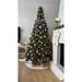 10' Slim Granville Fraser Fir Artificial Christmas Tree, Clear Lights - over-10-feet