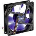 NoiseBlocker BlackSilent XE1 PC fan Black, Blue (transparent) (W x H x D) 92 x 92 x 25 mm