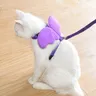 Angel Wings Pet Harness and guinzaglio Set per gatti Puppy Rabbit Cute Cat harnesss Kitten