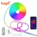 Tuya Smart Life WiFi LED Neon Light Strip 12V LED Strip RGB Neon Sign Tape decorazione Alexa Google