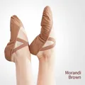 Ballerine pantofole da ballo pratica scarpe da balletto tela pantofole da balletto da donna scarpe