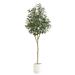 6ft. Artificial Olive Tree with White Decorative Planter - Nearly Natural T4416
