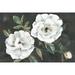 White Blooms Poster Print - K Aria (24 x 18)