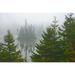 Canada-Ontario-Lake Superior Provincial Park. Fog on island in Fenton Lake. Poster Print - Gallery Jaynes (36 x 24)